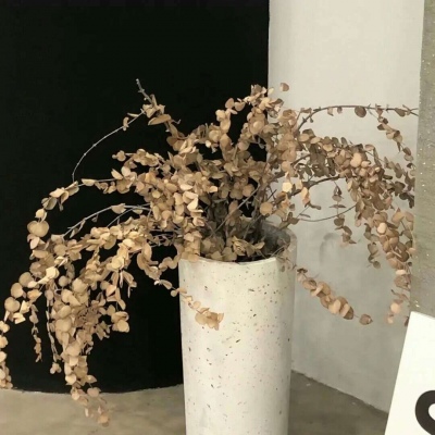 Furry绘画构图技巧Furry群